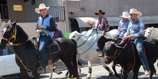 Fotos: 16ª Cavalgada Ecológica de Jales